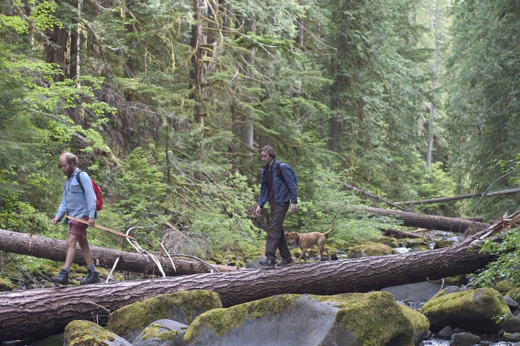 Still of Daniel London and Will Oldham in Old Joy (2006)