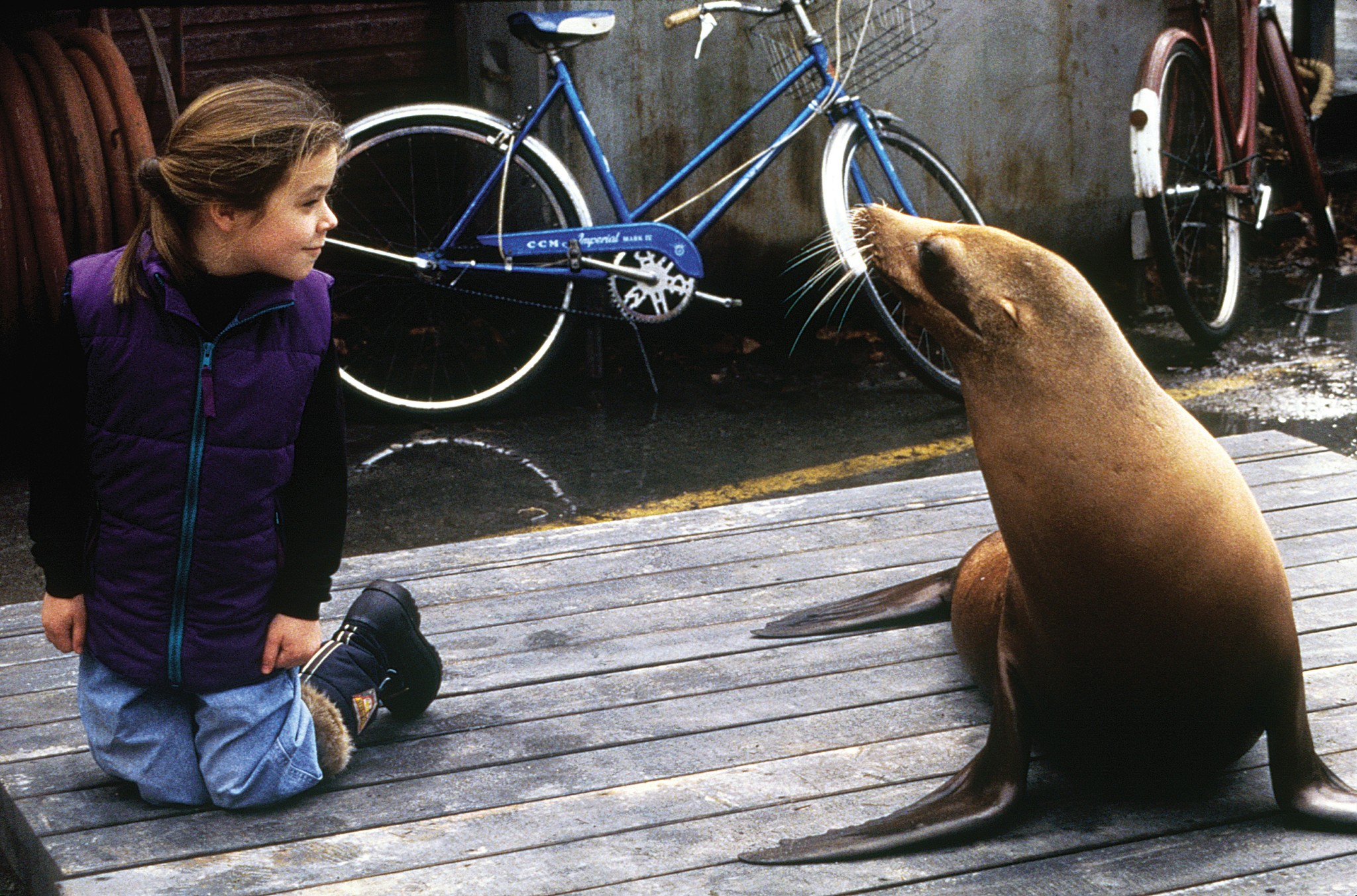 Still of Tina Majorino and Tory The Sea Lion in Andre (1994)