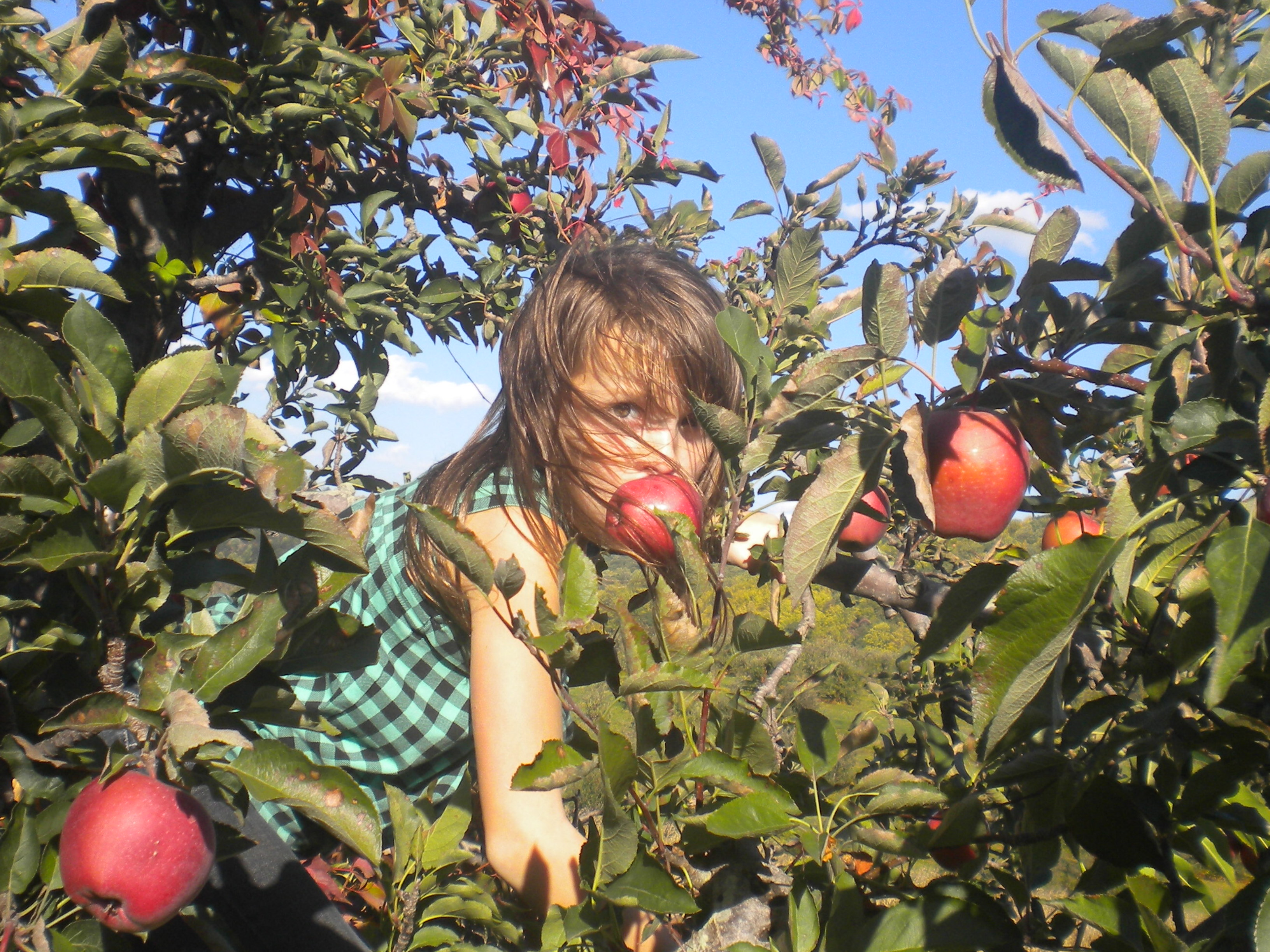 Taking a break from shooting SYRIA... Rachel found an apple tree