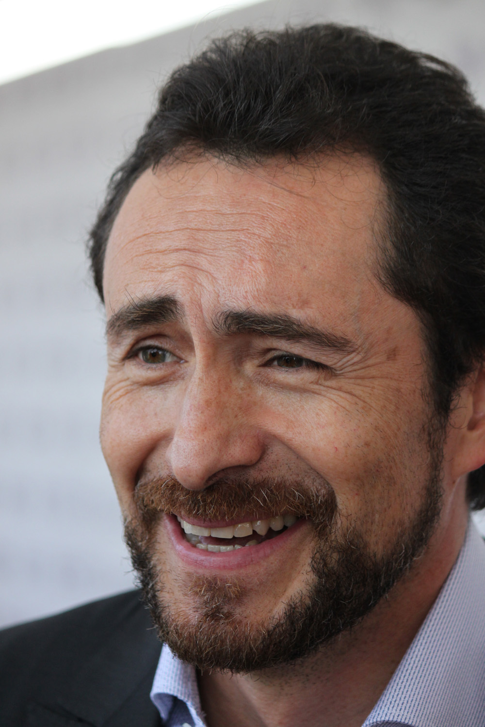 Demian Bichir