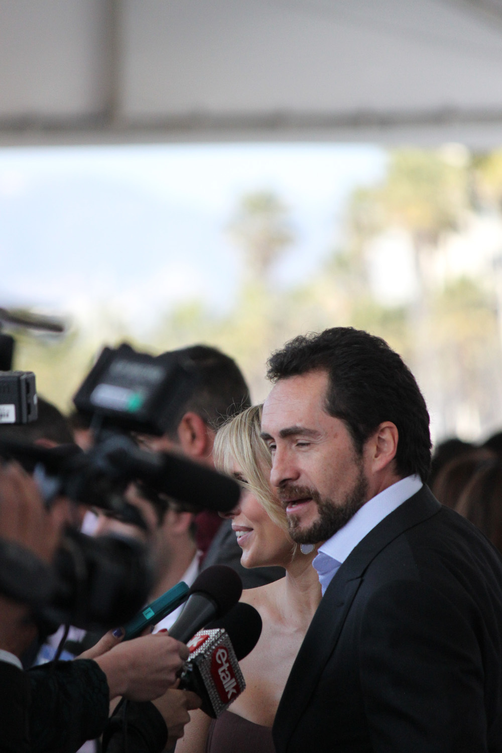 Demian Bichir