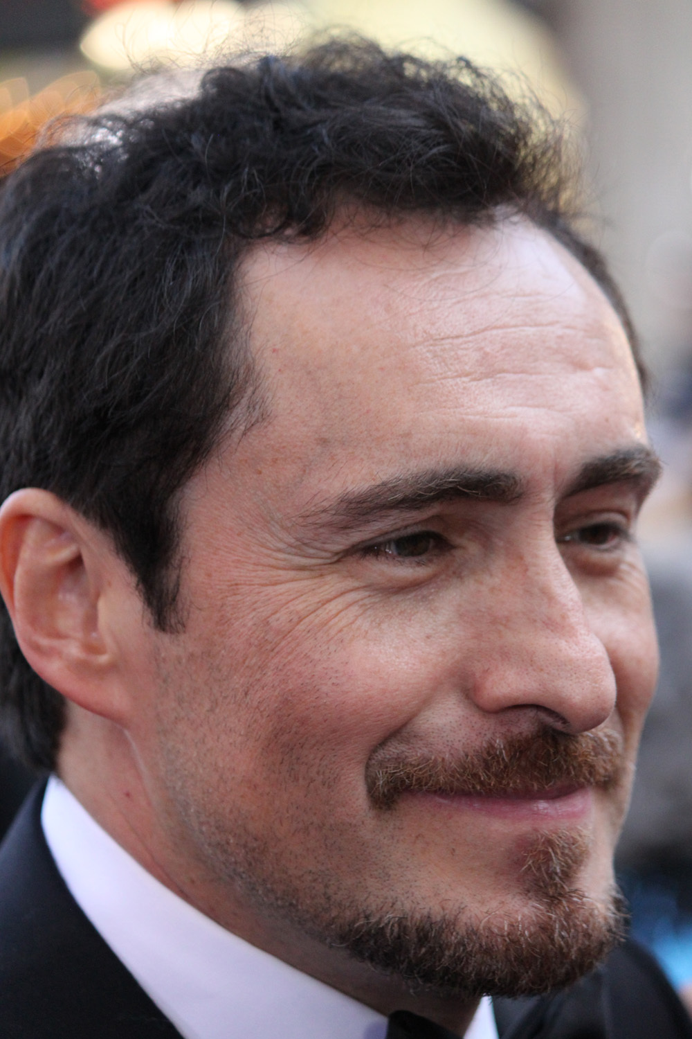 Demian Bichir