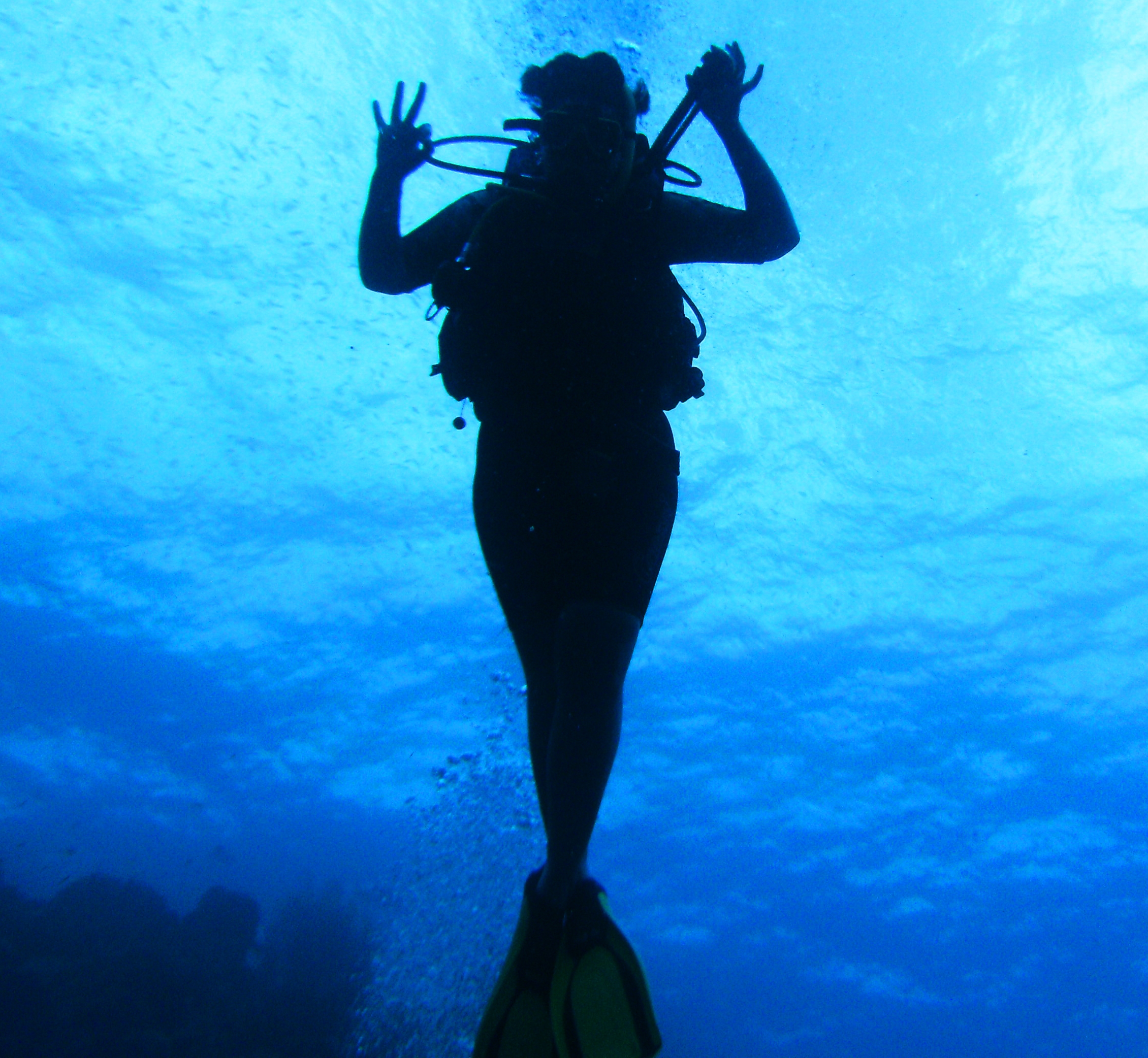 Curacao Dive with Cameraman