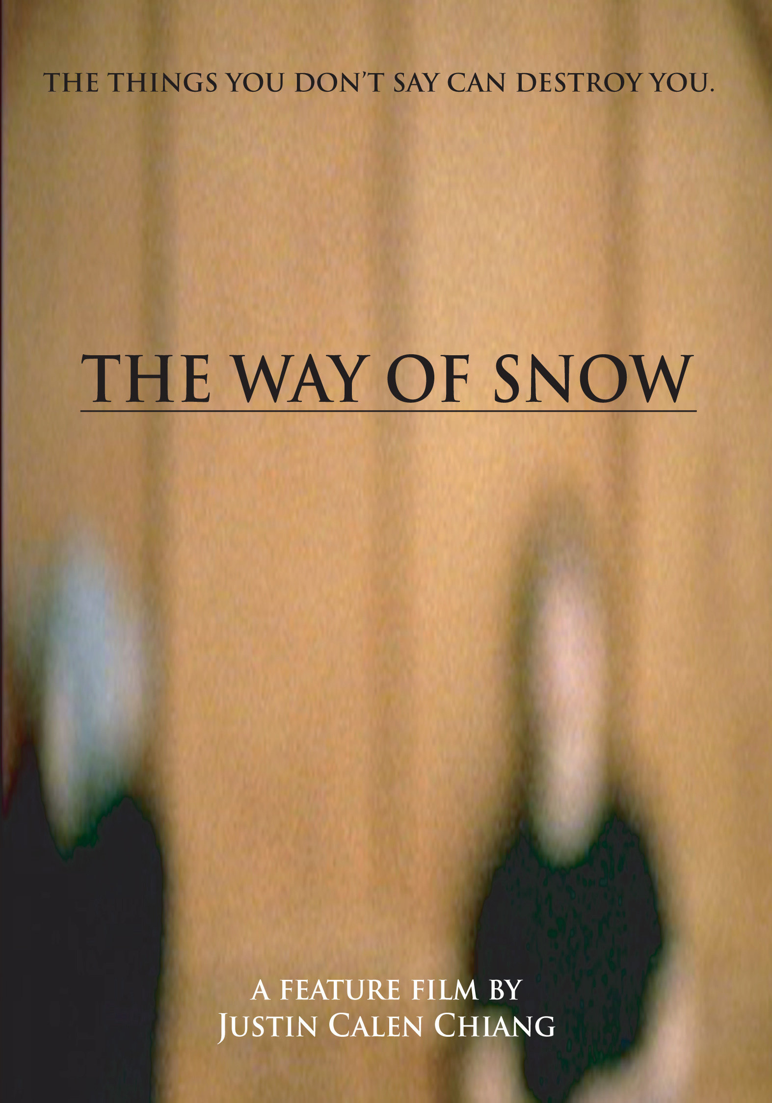 THE WAY OF SNOW. 2010, The Re-Vamp.