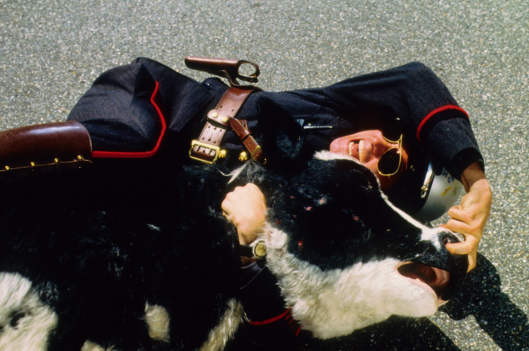 Still of Jim Carrey in Me, Myself & Irene (2000)