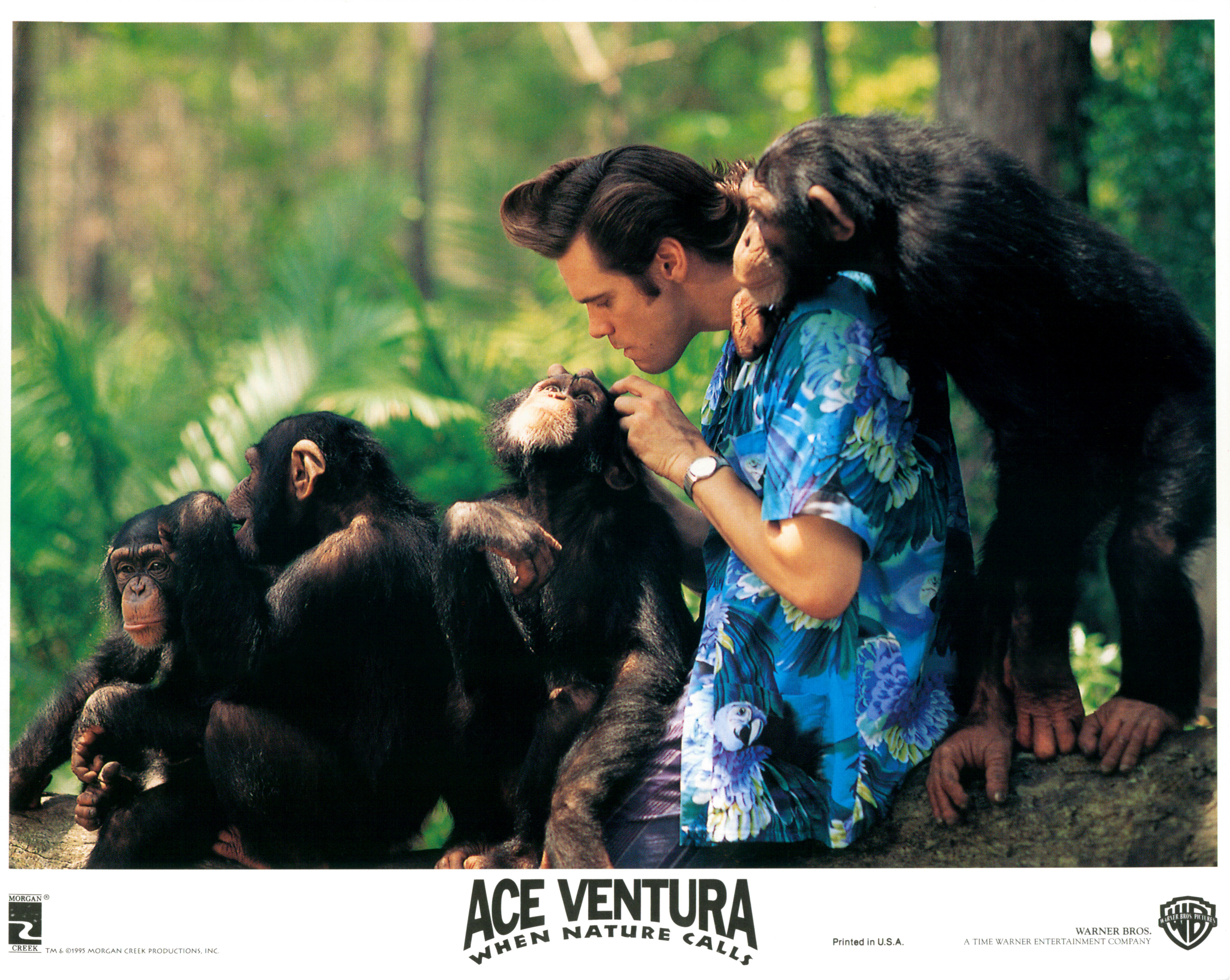 Still of Jim Carrey in Ace Ventura: When Nature Calls (1995)