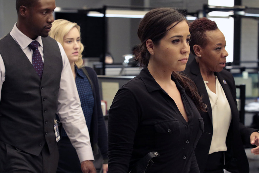 Still of Rob Brown, Ashley Johnson and Audrey Esparza in Blindspot (2015)