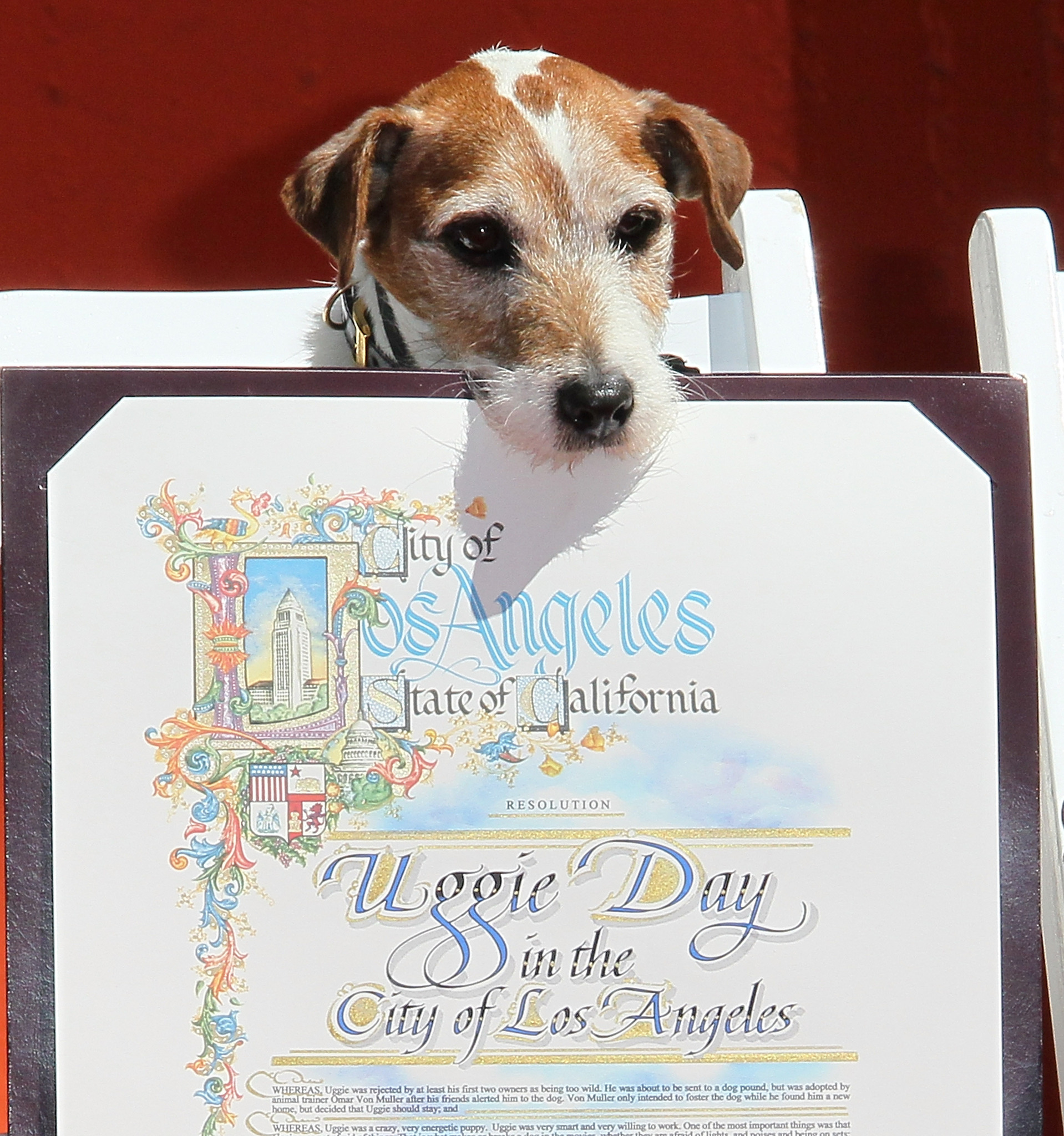 Uggie at event of Artistas (2011)