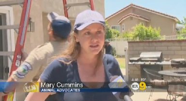 Mary Cummins, Animal Advocates, Cummins Real Estate Appraisals, Los Angeles, California, http://www.AnimalAdvocates.us http://www.MaryCummins.com http://www.Mary.cc