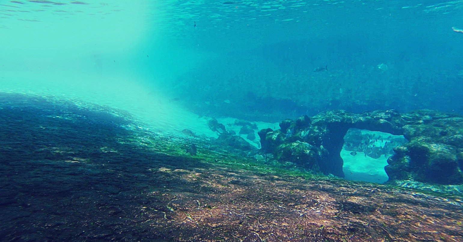 A still underwater in one of the tropical swimming pools with fish and an artificial reef.