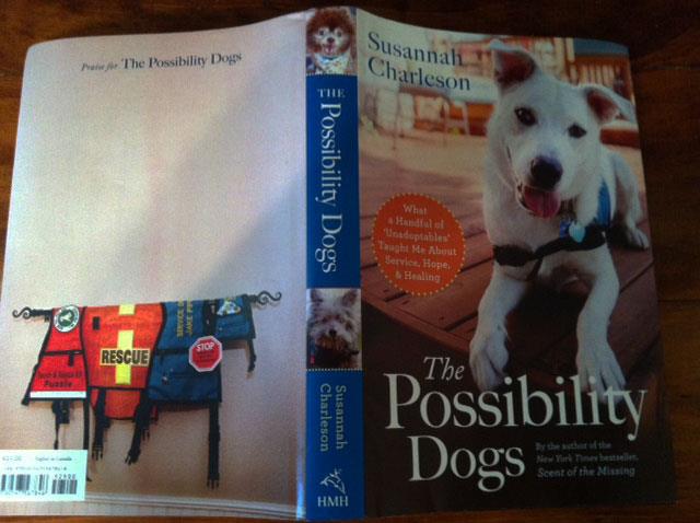 Next book 'The Possibility Dogs' back and front cover. Mizzen and Ollie T on spine, Jake Piper on cover (2012).