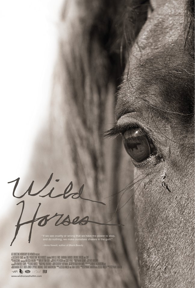 Wild Horses