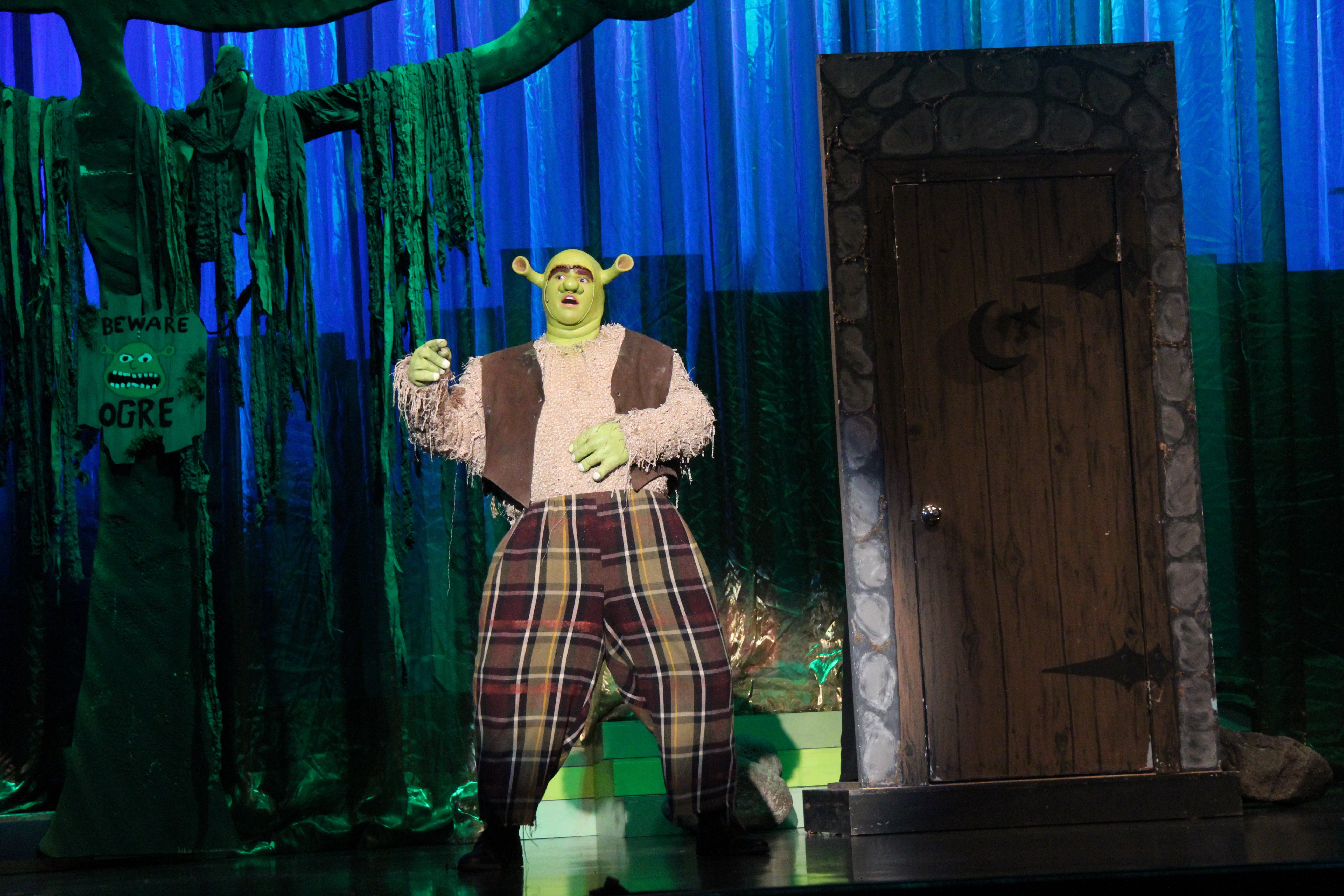 Shrek the Musical 2015