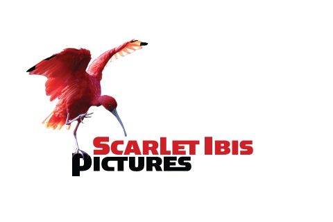 Scarlet Ibis Pictures Logo