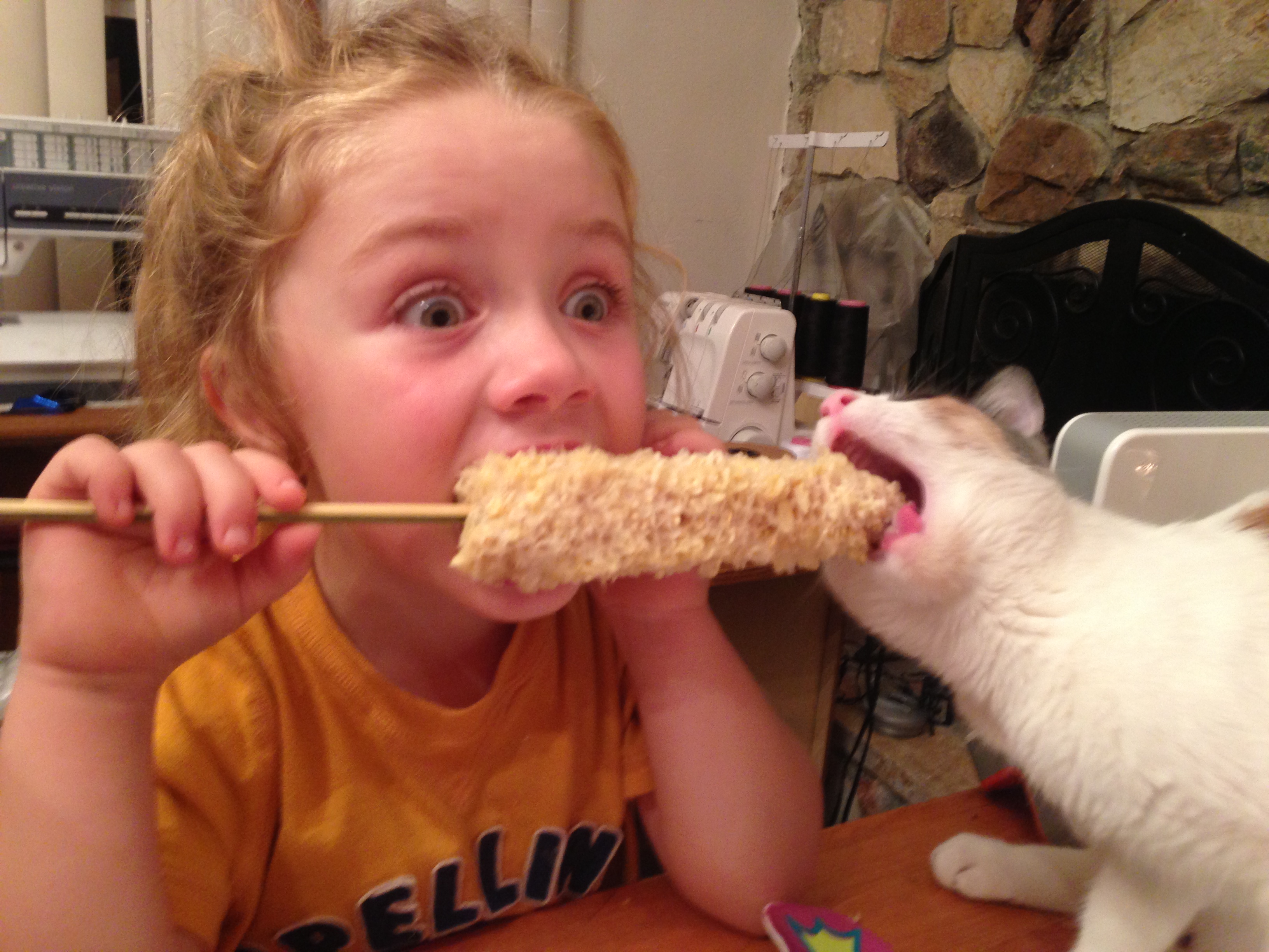 Sharing a corn. Last great moment with my Cat Squeeker, whom someone stoled shortly after we took this picture