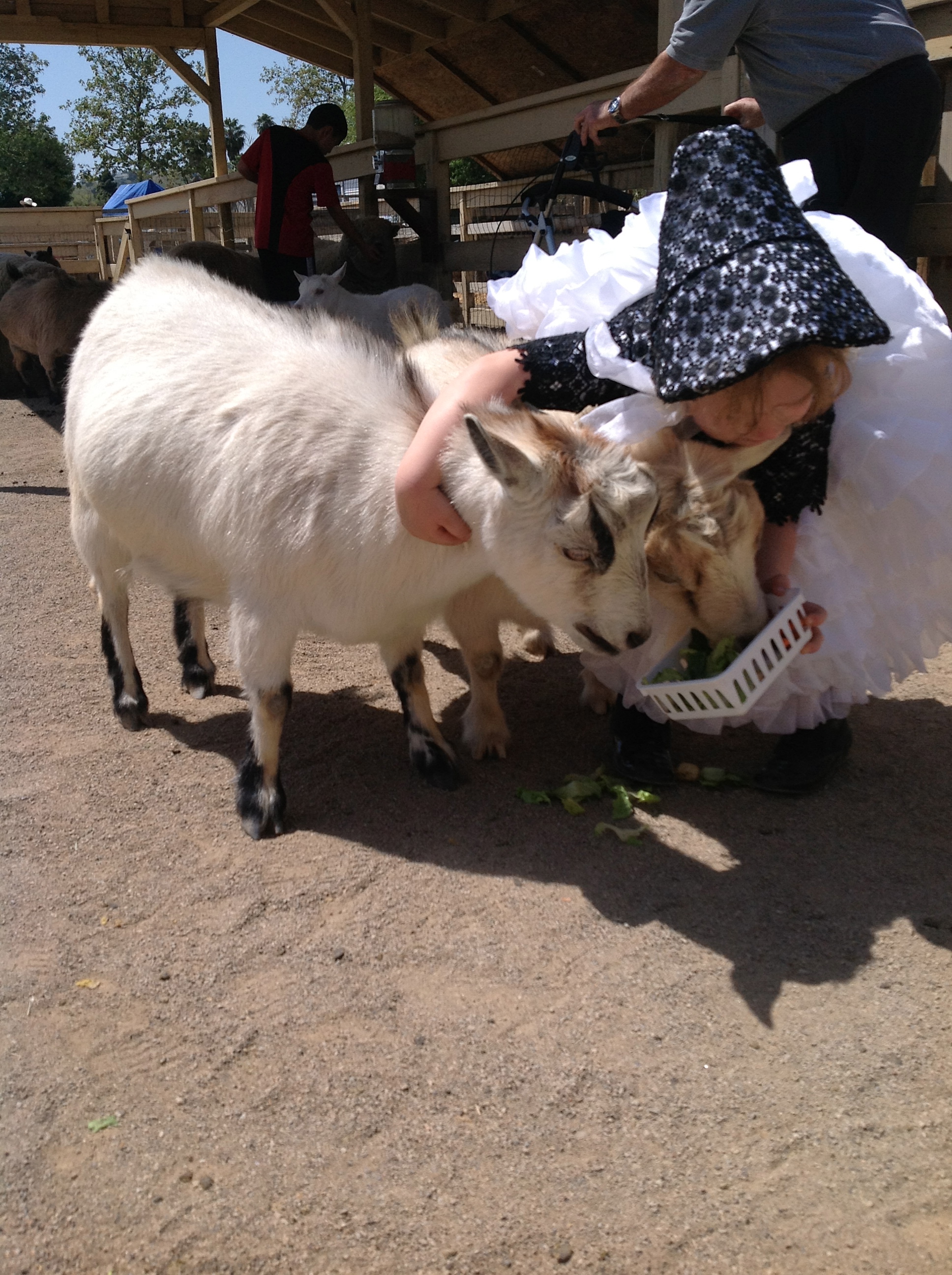 Real animals are RJ's favorite friends/toys. Dress and a bonnet custom designed and made by Oxana Foss