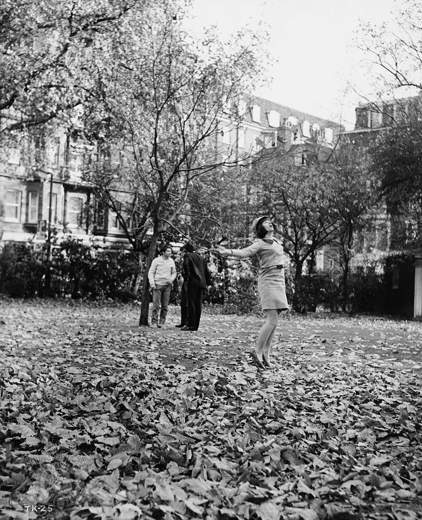 Still of Ray Brooks, Michael Crawford and Donal Donnelly in The Knack ...and How to Get It (1965)