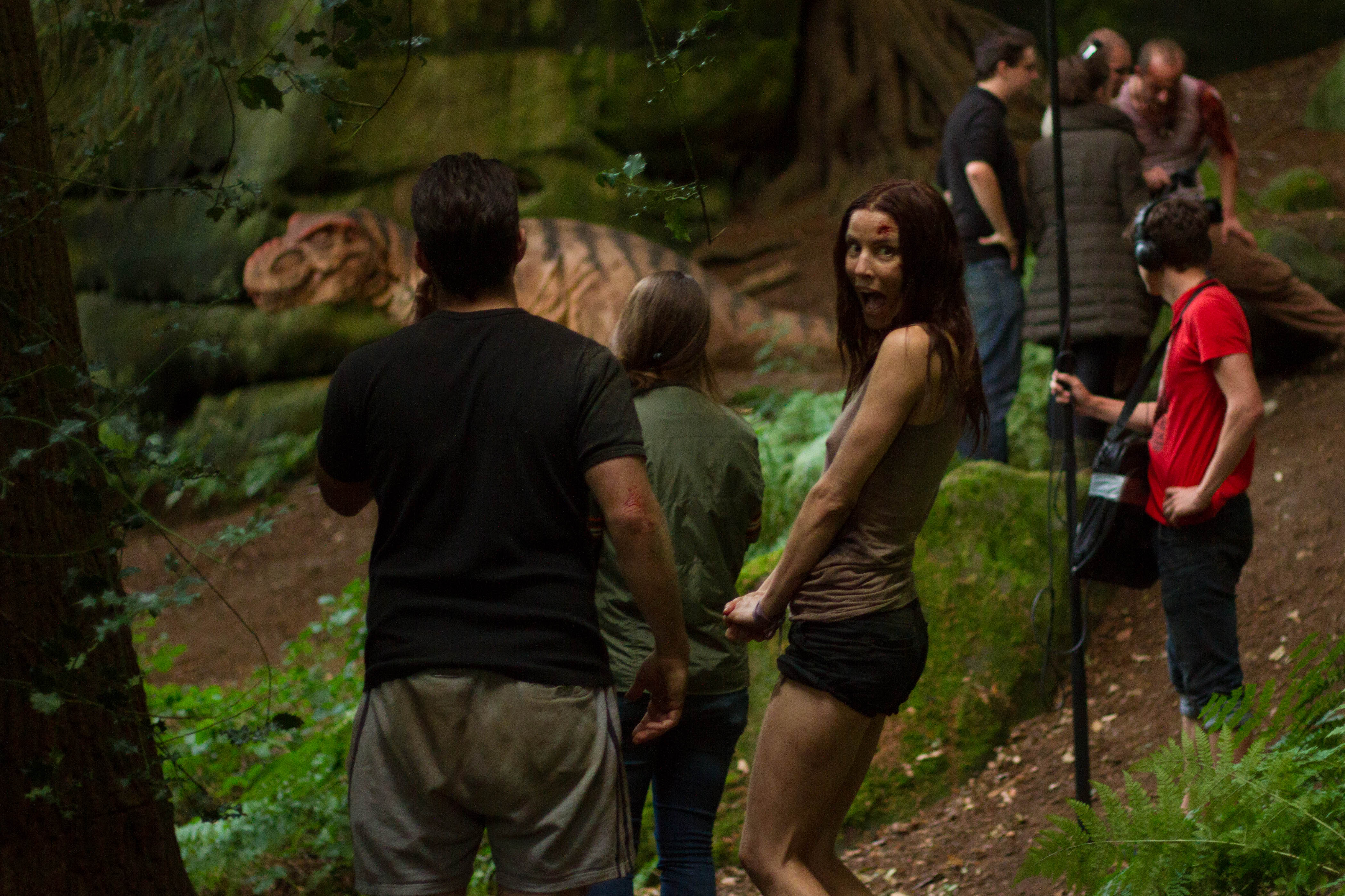 On Set- Extinction (August 2013)