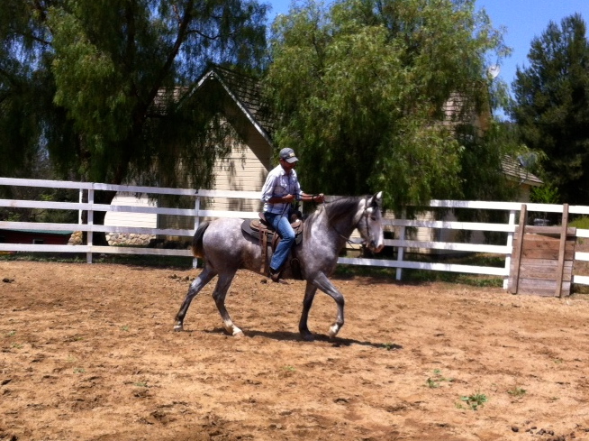 Travis at Pure Aveda Ranch riding Spanish Andalusian, 
