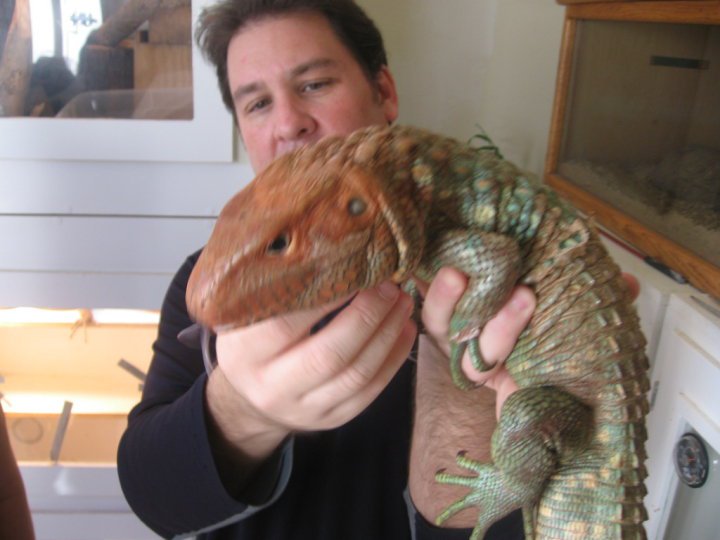 Erik Shein and his caiman lizard Lily
