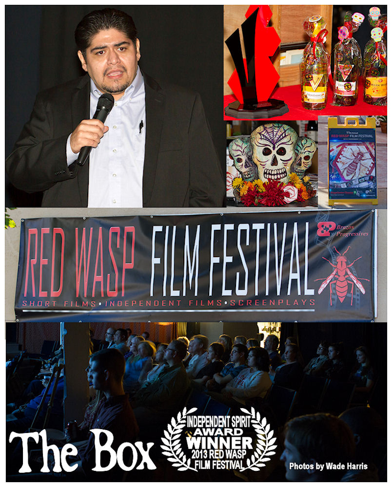 Photo collage of the 2013 Red Wasp Film Festival.