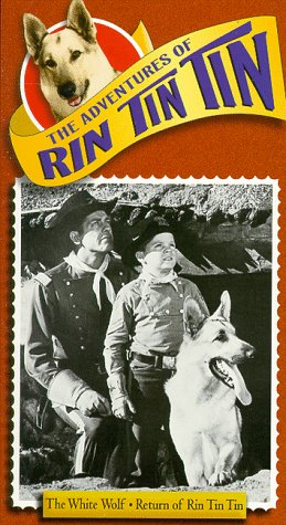 Lee Aaker, James Brown and Rin Tin Tin II in The Adventures of Rin Tin Tin (1954)