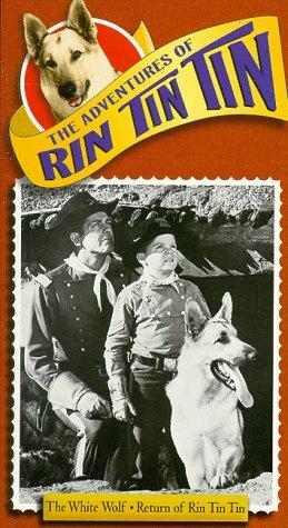 Lee Aaker, James Brown and Rin Tin Tin II in The Adventures of Rin Tin Tin (1954)