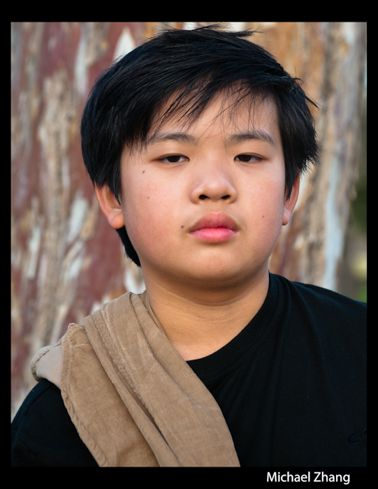 Michael Zhang, Chinese American Young actor in The Avengers (2012)