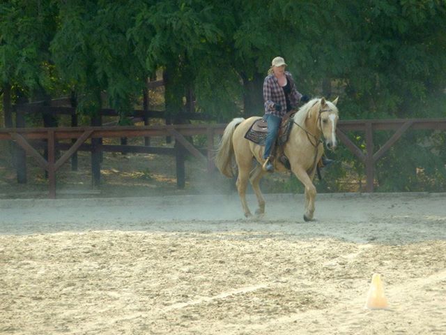 Gayna riding 'Storm' her palomino at El Bronco Ranch in Hungary on Western Riding For Actors week. 2013