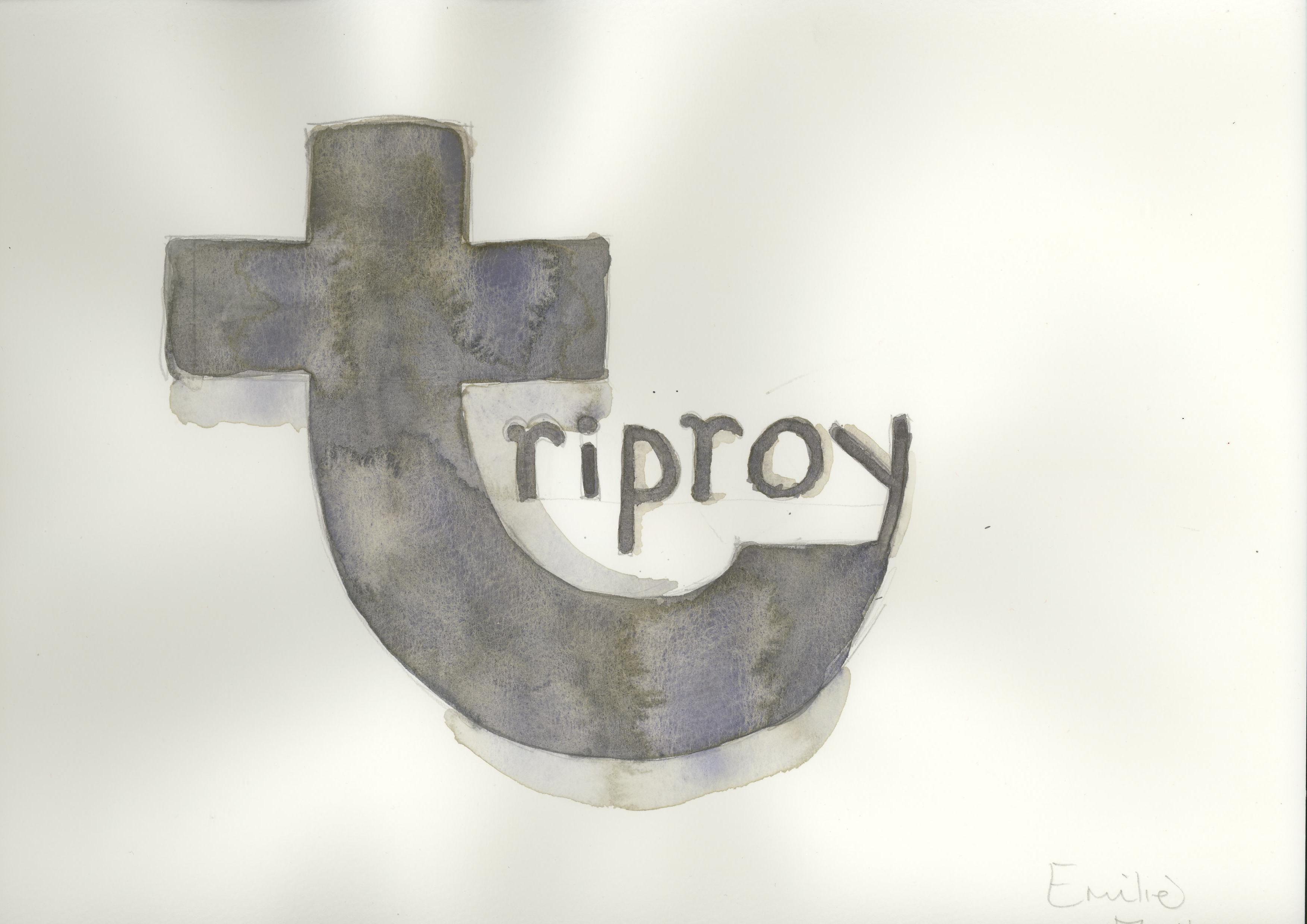 Triproy