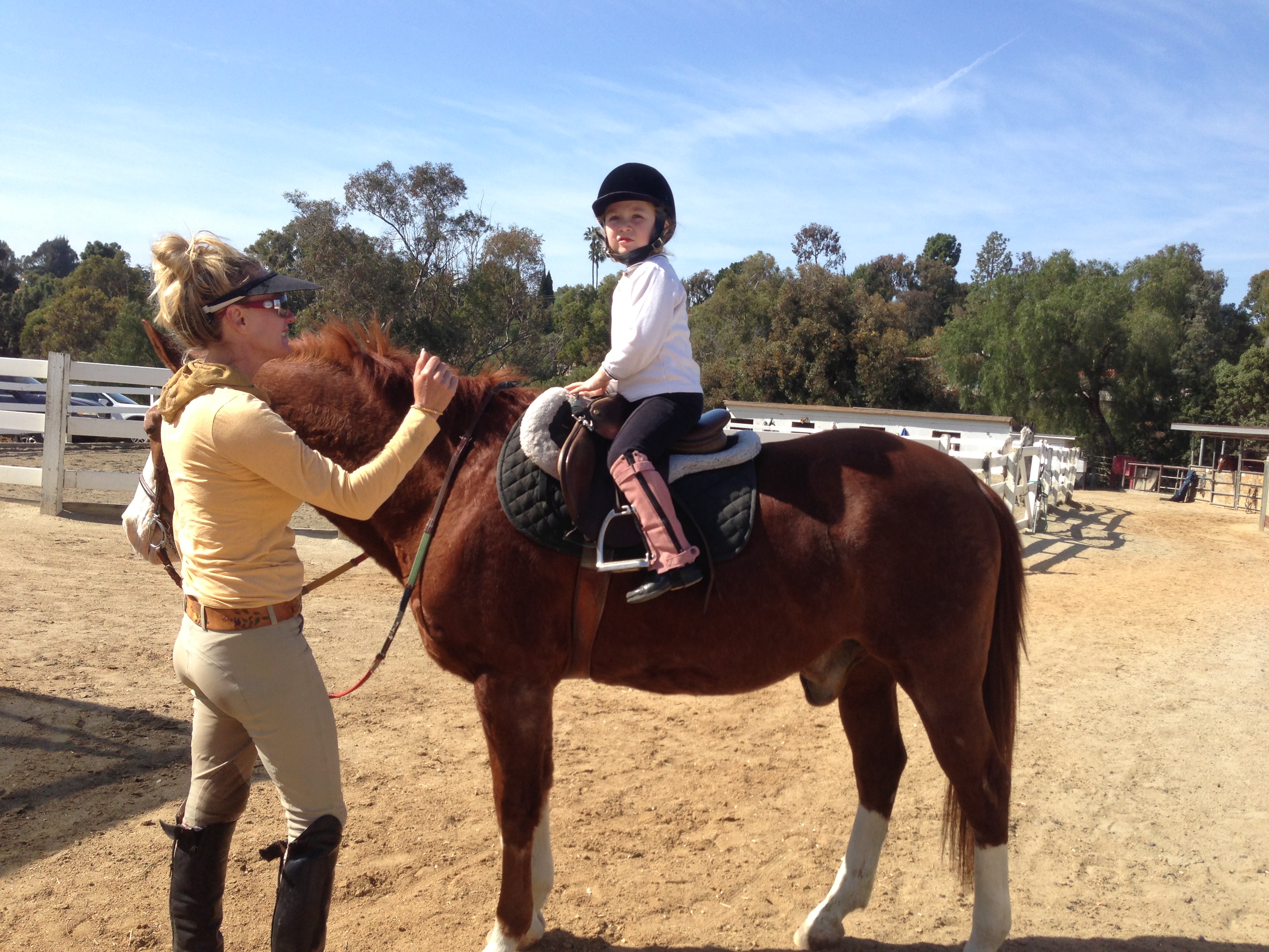 English Horseback Riding Class