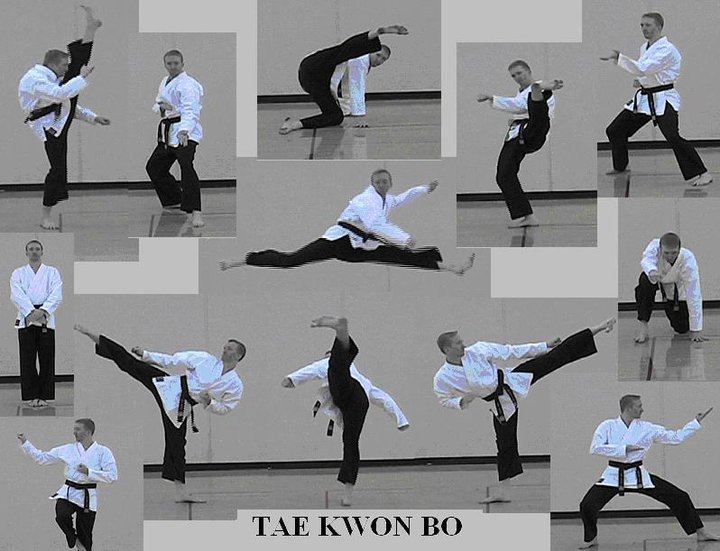 Traditional Taekwondo kicks and stances.