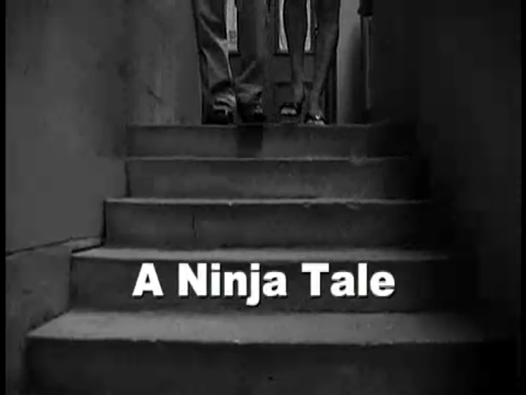 A Ninja Tale 2008?