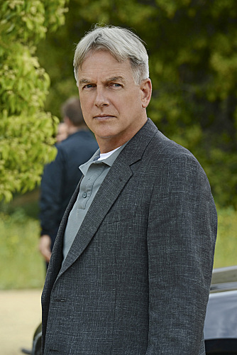 Still of Mark Harmon in NCIS: Naval Criminal Investigative Service (2003)