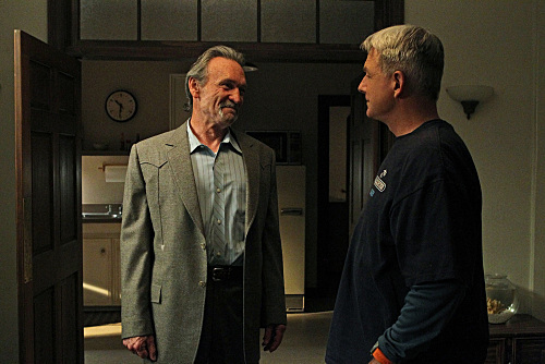 Still of Mark Harmon and Muse Watson in NCIS: Naval Criminal Investigative Service (2003)