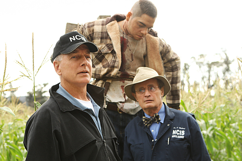 Still of Mark Harmon and David McCallum in NCIS: Naval Criminal Investigative Service: Child's Play (2009)