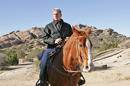 Still of Mark Harmon in NCIS: Naval Criminal Investigative Service: South by Southwest (2009)