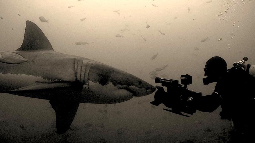 Andy Brandy Casagrande IV filming Great White Sharks Ganbaai South Africa - National Geographic - Into The Shark Bite