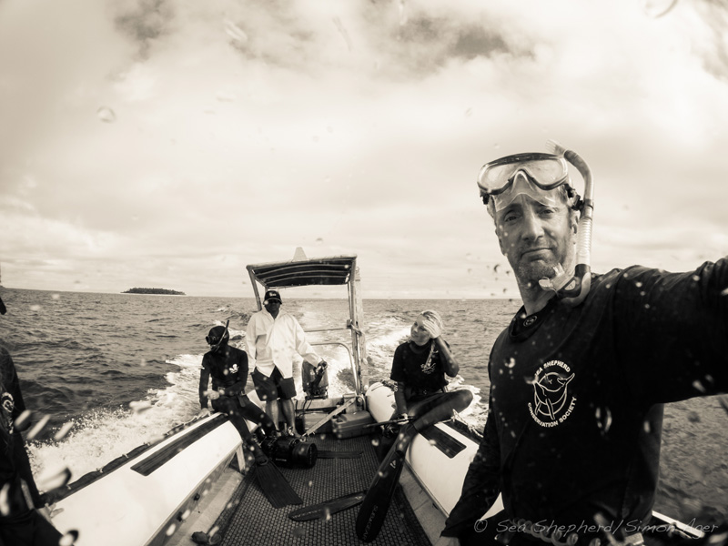 Paul Wildman and the Sea Shepherd Crew looking for Humpback Whales