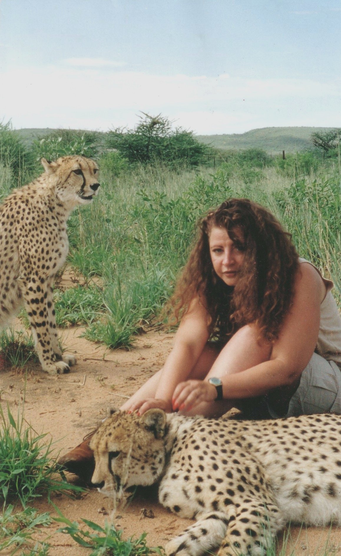 Lynn Santer with Cheetahs in The AfriCat Foundation, Namibia, Africa