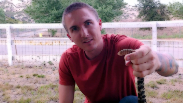 Daniel N. Butler in How to Kill a Rattlesnake (2011)