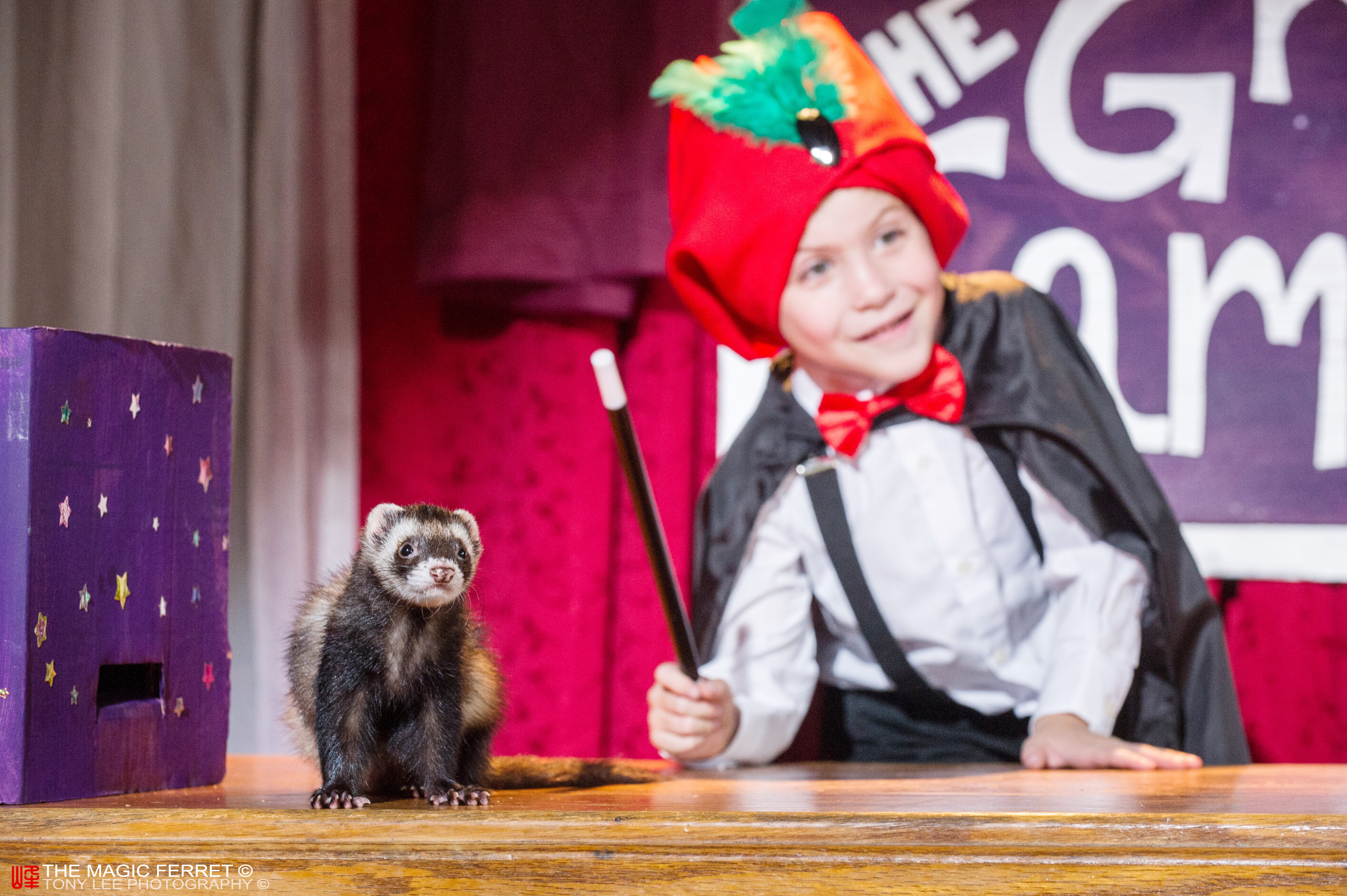 Still of Falcor the Ferret and Jacob Tremblay in The Magic Ferret.