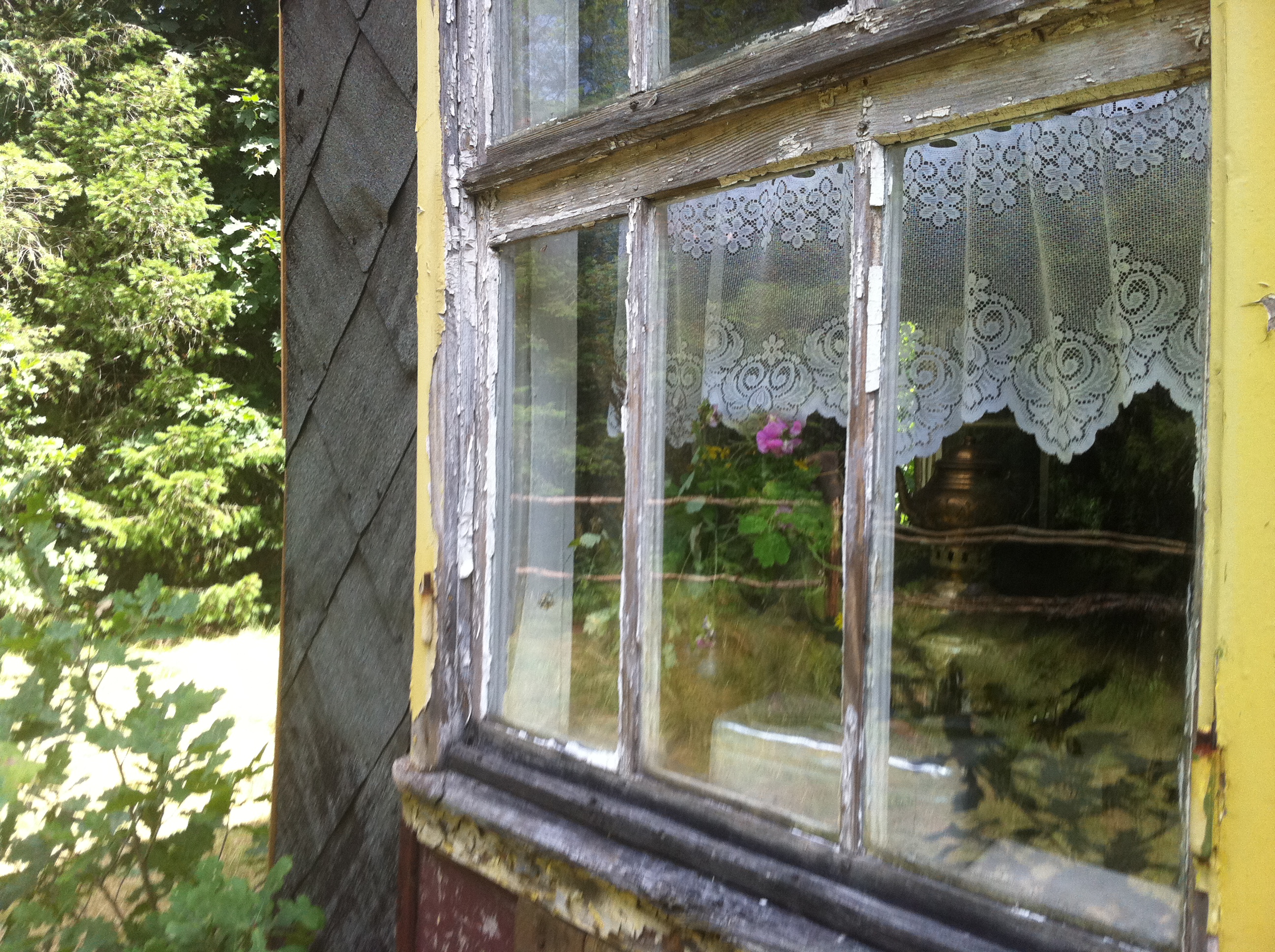 view into the garden