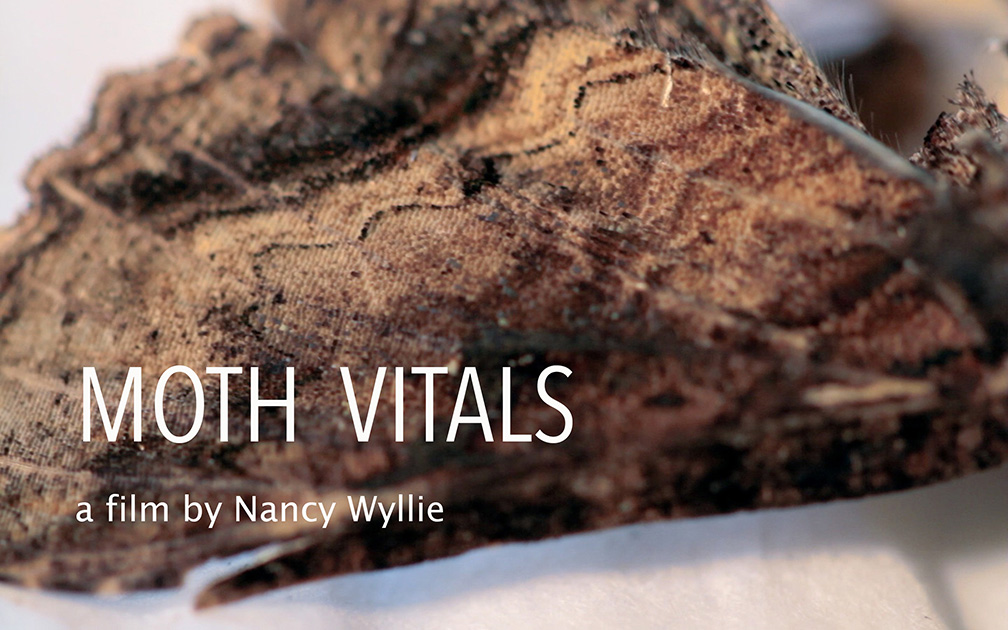 MOTH VITALS a short doc about two extraordinary cases seen by a RI State Veterinarian. His reflections on the requests made by two clients who share an extraordinary reverence for life ask all of us to extend our circle of compassion.