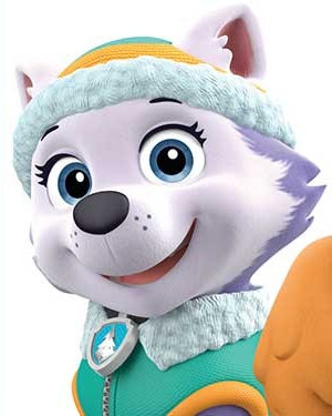 Everest on Paw Patrol