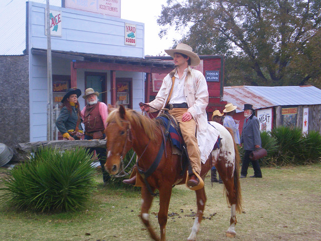 Stephen Brodie in The Platinum Peacemaker