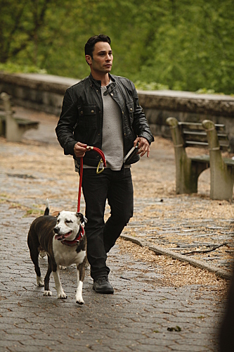 Still of Justin Silver in Dogs in the City (2012)