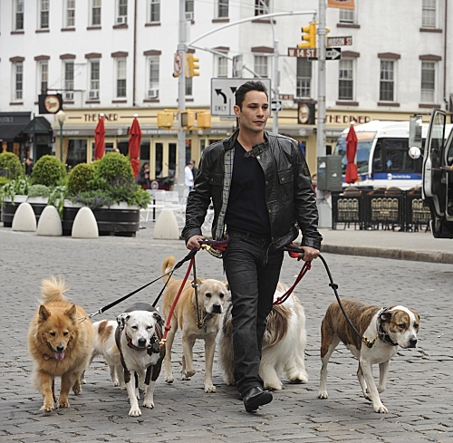Still of Justin Silver in Dogs in the City (2012)