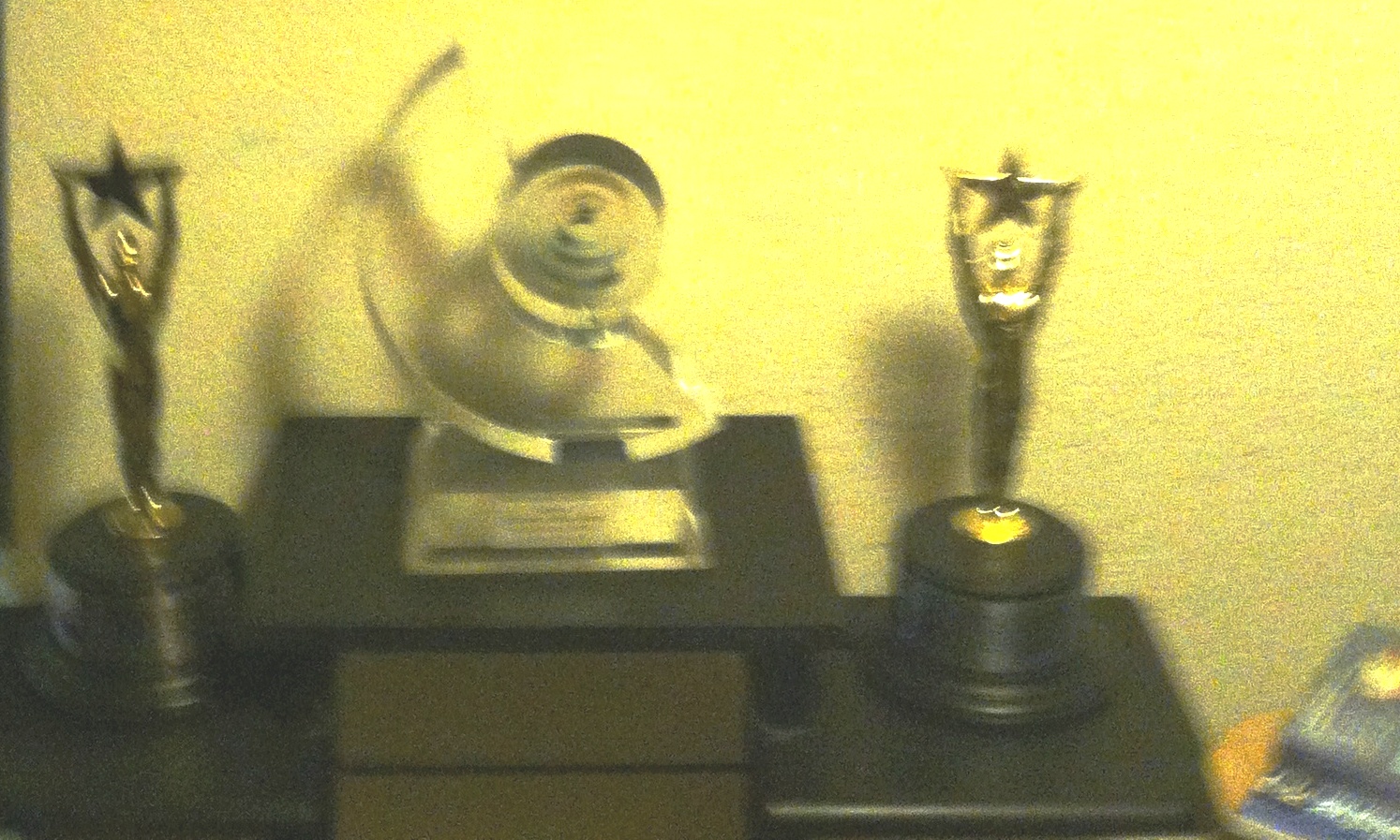 Two Platinum Remi's. One International Family Film Award.