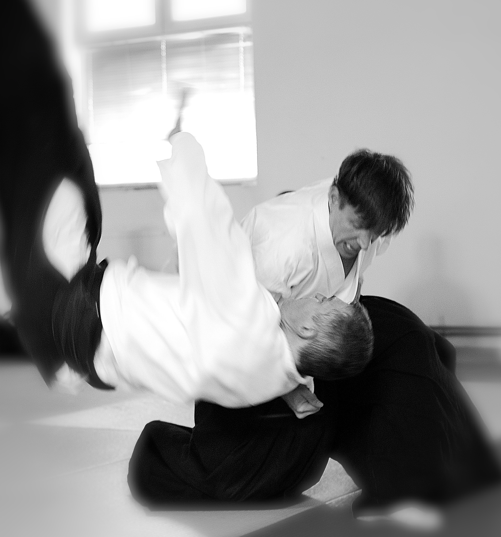 Blue Spruell demonstrating makiotoshi at an Aikido seminar in Cluj-Napoca, Romania.